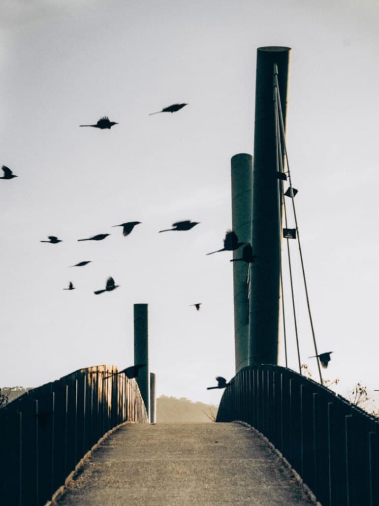 El Puente